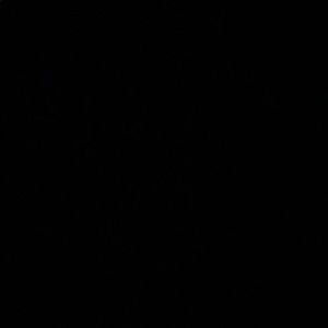 Meet your Posher, Ava